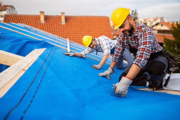 Best Green or Eco-Friendly Roofing Solutions  in Poquoson, VA