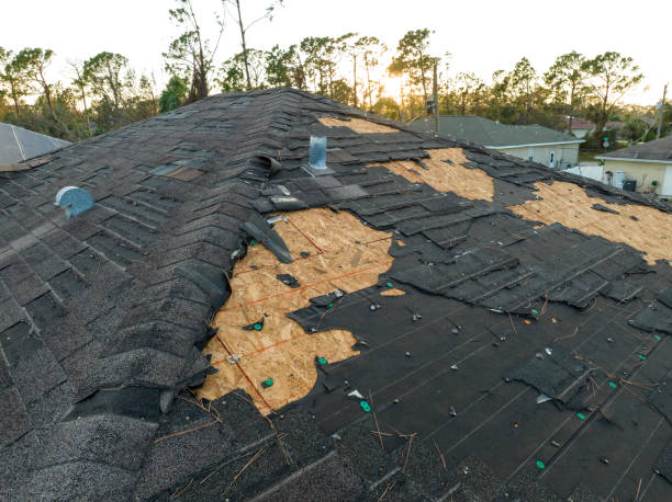 Best Roof Leak Repair  in Poquoson, VA